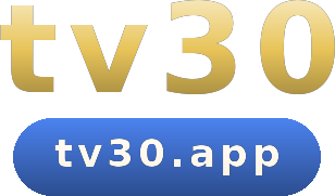 tv30 logo